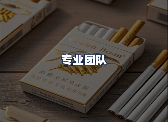 专业团队